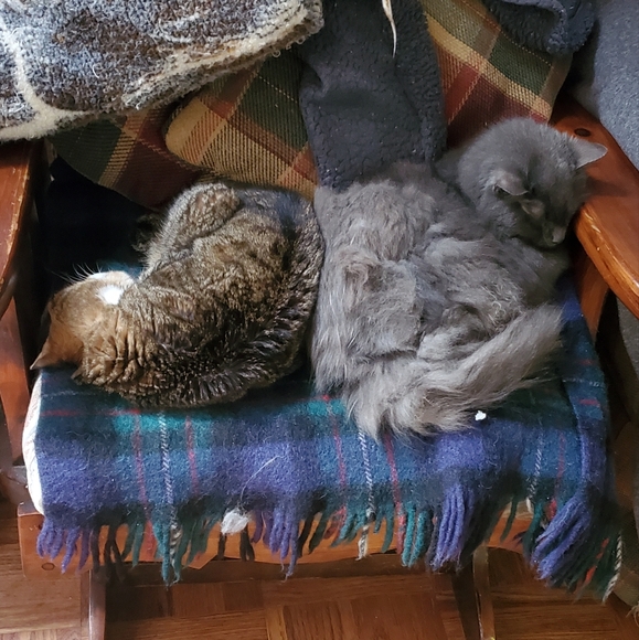 Meet your Posher, Susan - Picture 5 of 6